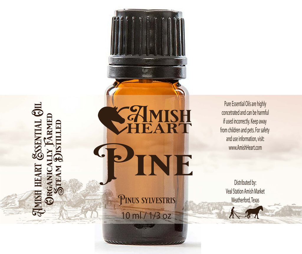 Organic Scotch Pine Essential Oil by Amish Heart, steam distilled from pine needles, offering a fresh and purifying forest aroma