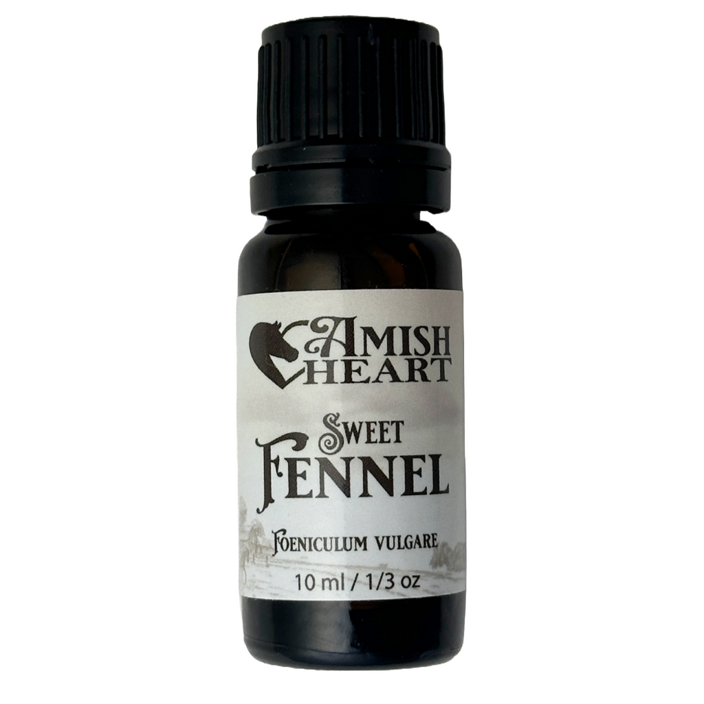 Sweet Fennel Essential Oil by Amish Heart, known for its digestive, respiratory, and detoxifying benefits.