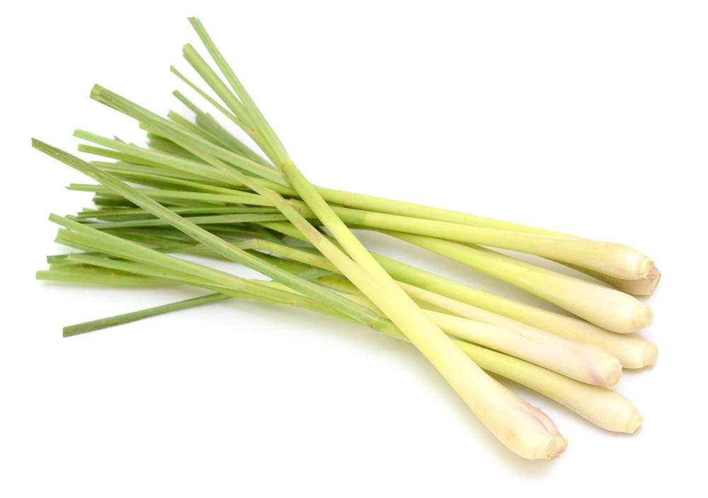 Lemongrass - By Faith Essential Oils