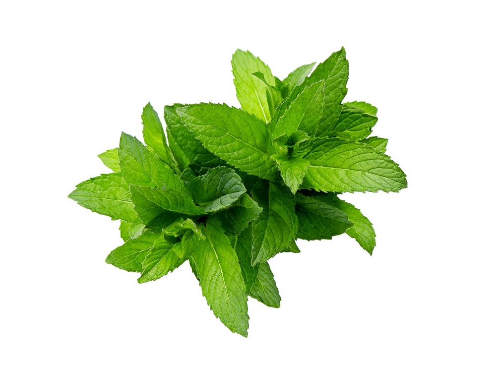 Peppermint (Triple Distilled) - By Faith Essential Oils