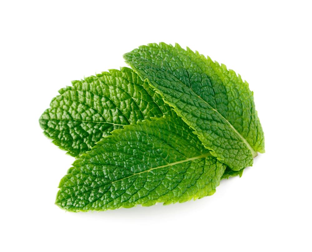Spearmint - By Faith Essential Oils